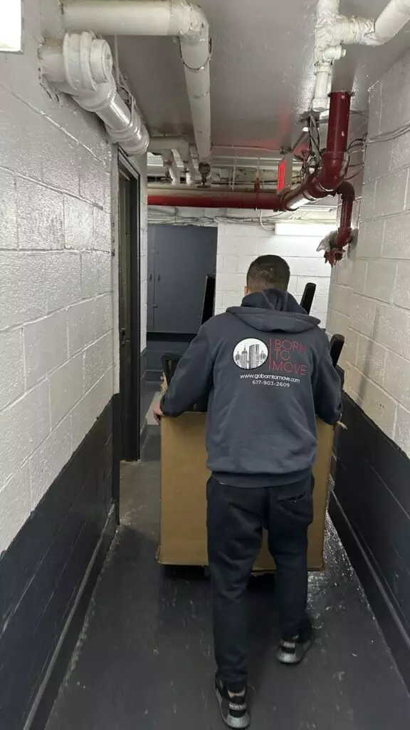 Movers from Miami to Denver